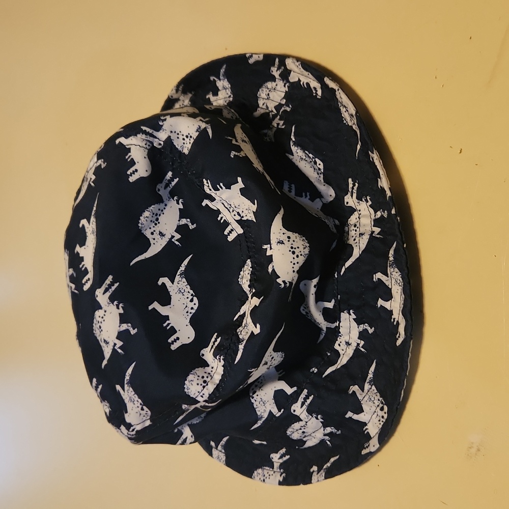 Dinosaur bucket hat